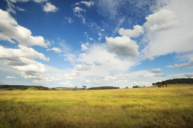 Rural